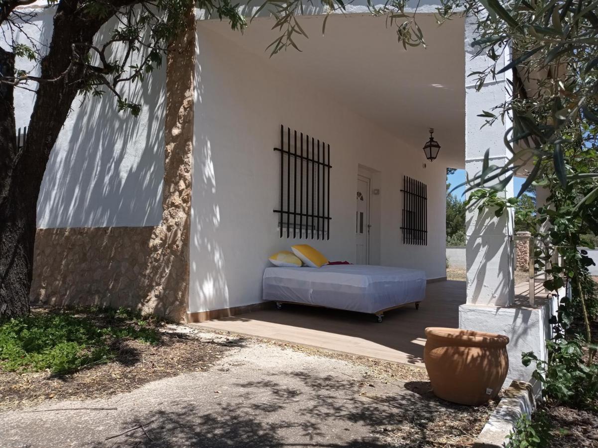 Casa De Pascual Villa Yecla Exterior photo